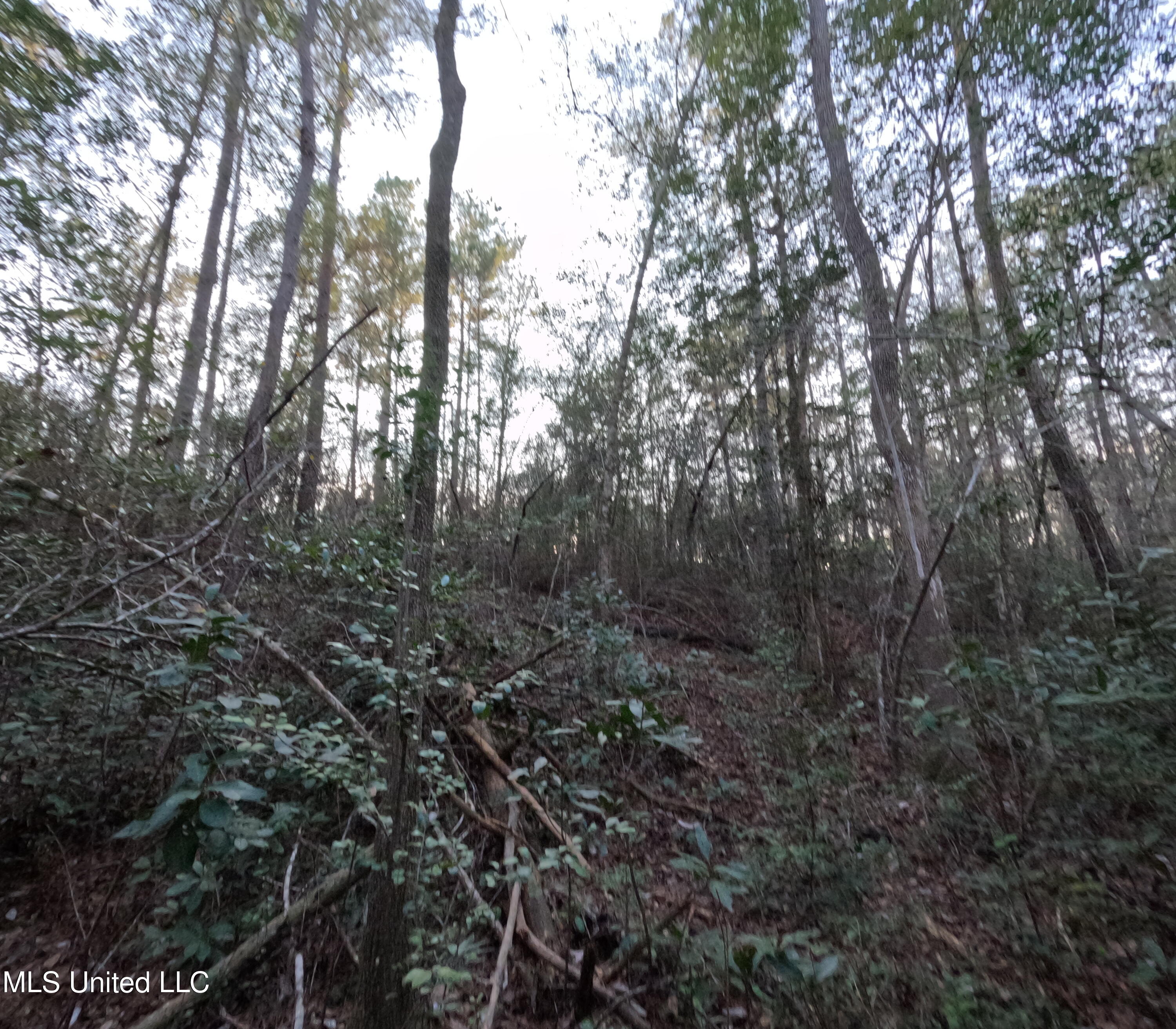 South County Line Road Columbia, MS 39429 - Photo 31 of 44 GOPR0755