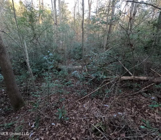 $179,000 | South County Line Road, Columbia, MS 39429