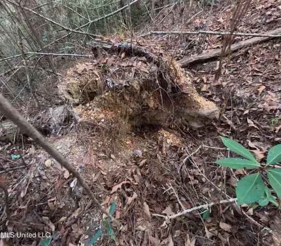 $179,000 | South County Line Road, Columbia, MS 39429