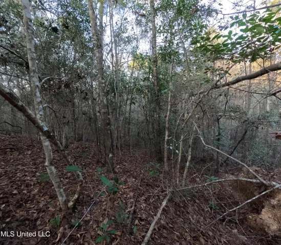 $179,000 | South County Line Road, Columbia, MS 39429