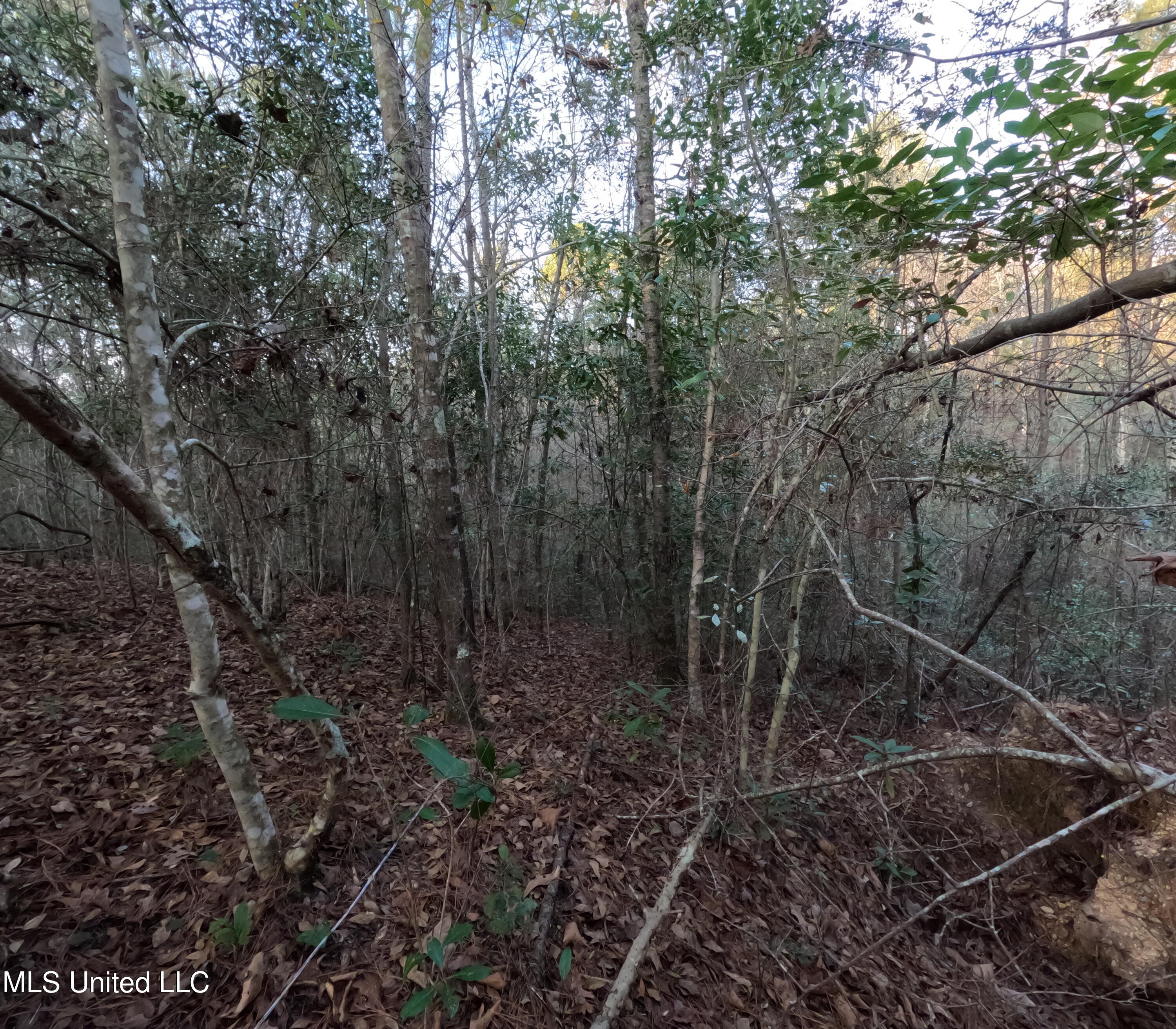South County Line Road Columbia, MS 39429 - Photo 35 of 44 GOPR0759