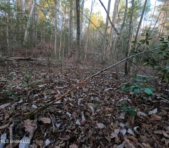 $179,000 | South County Line Road, Columbia, MS 39429