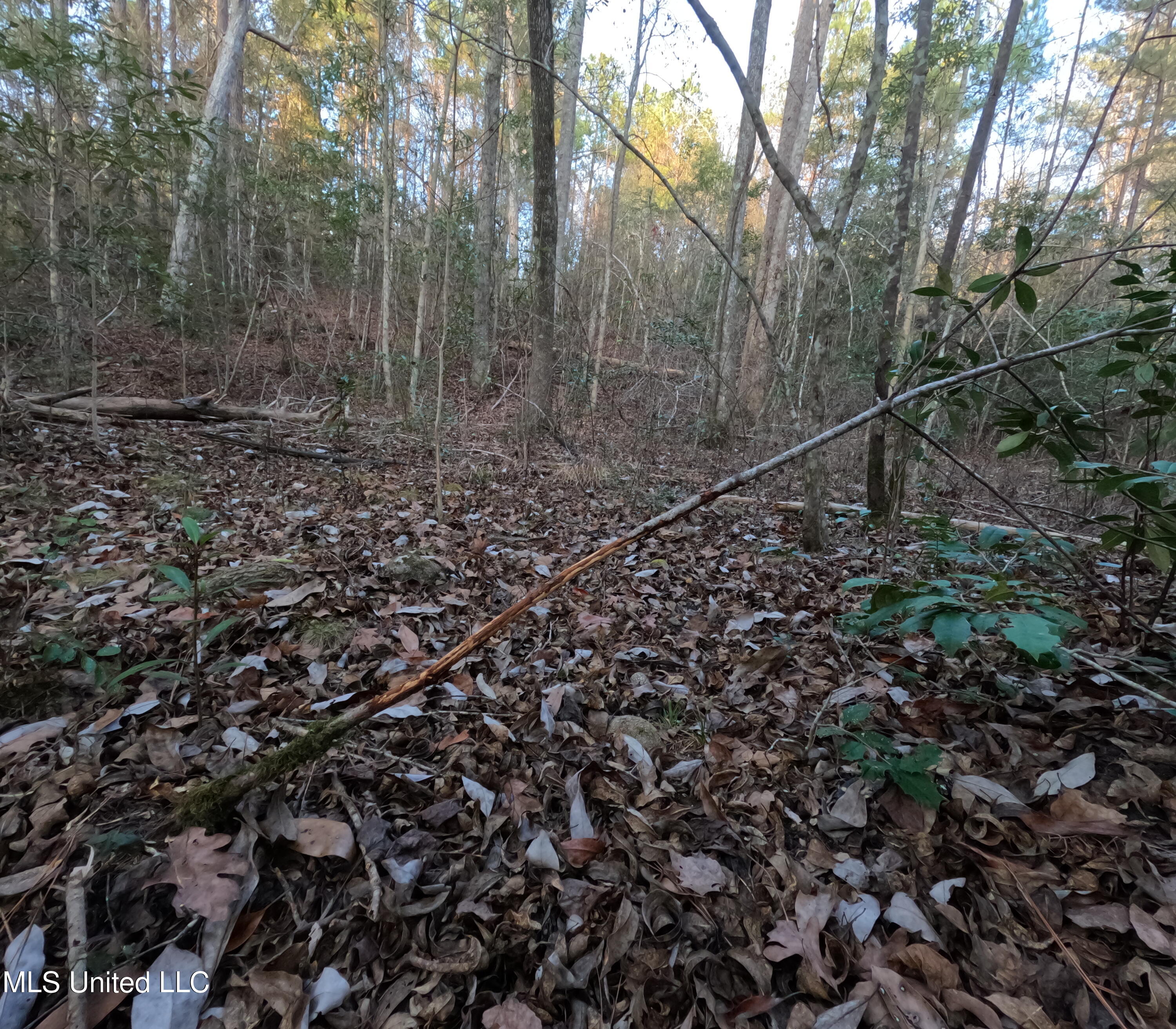 South County Line Road Columbia, MS 39429 - Photo 38 of 44 GOPR0762