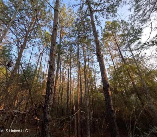 $179,000 | South County Line Road, Columbia, MS 39429