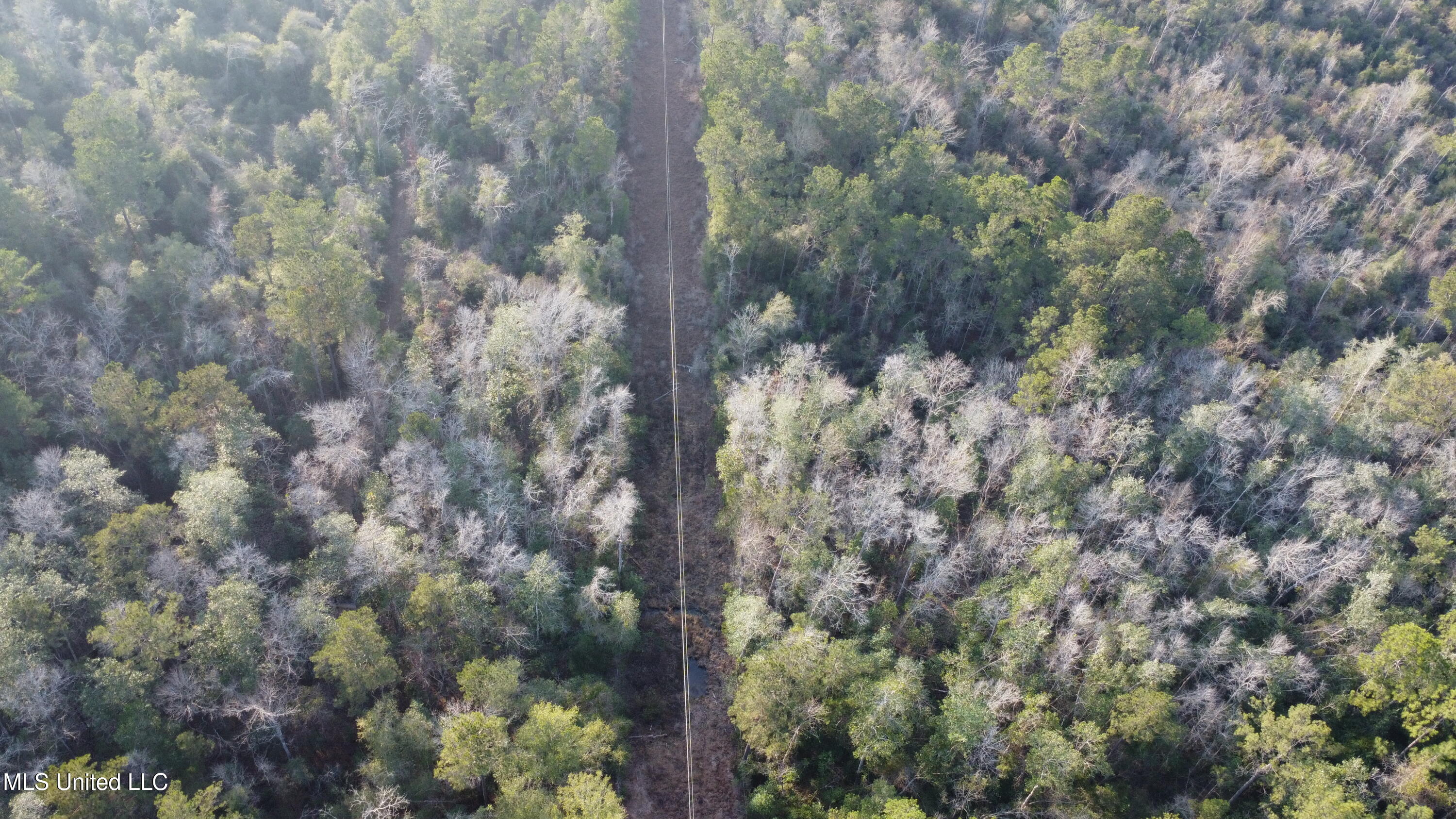South County Line Road Columbia, MS 39429 - Photo 5 of 44 DJI_0687