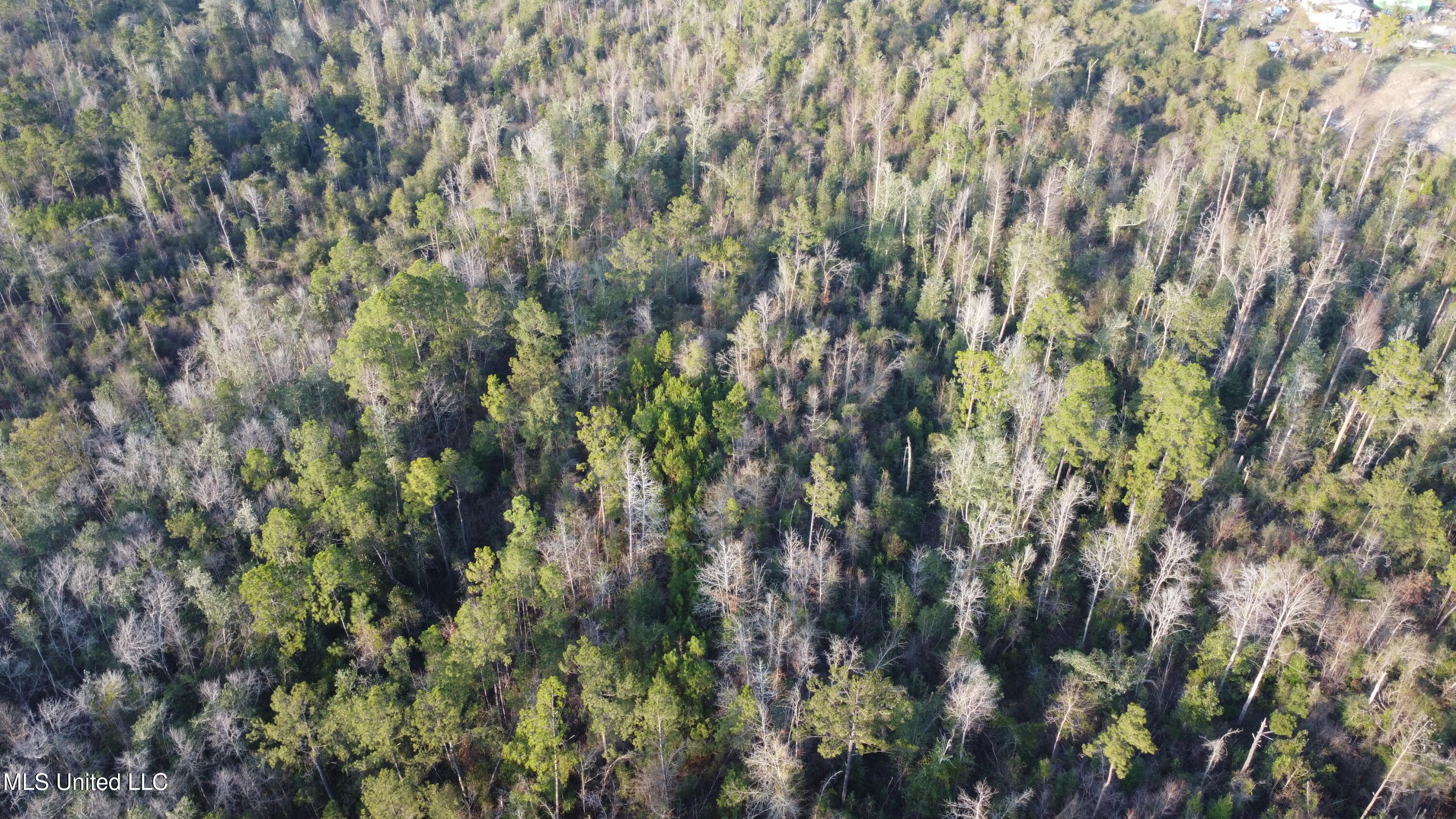 South County Line Road Columbia, MS 39429 - Photo 6 of 44 DJI_0688