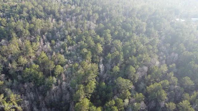 $179,000 | South County Line Road, Columbia, MS 39429