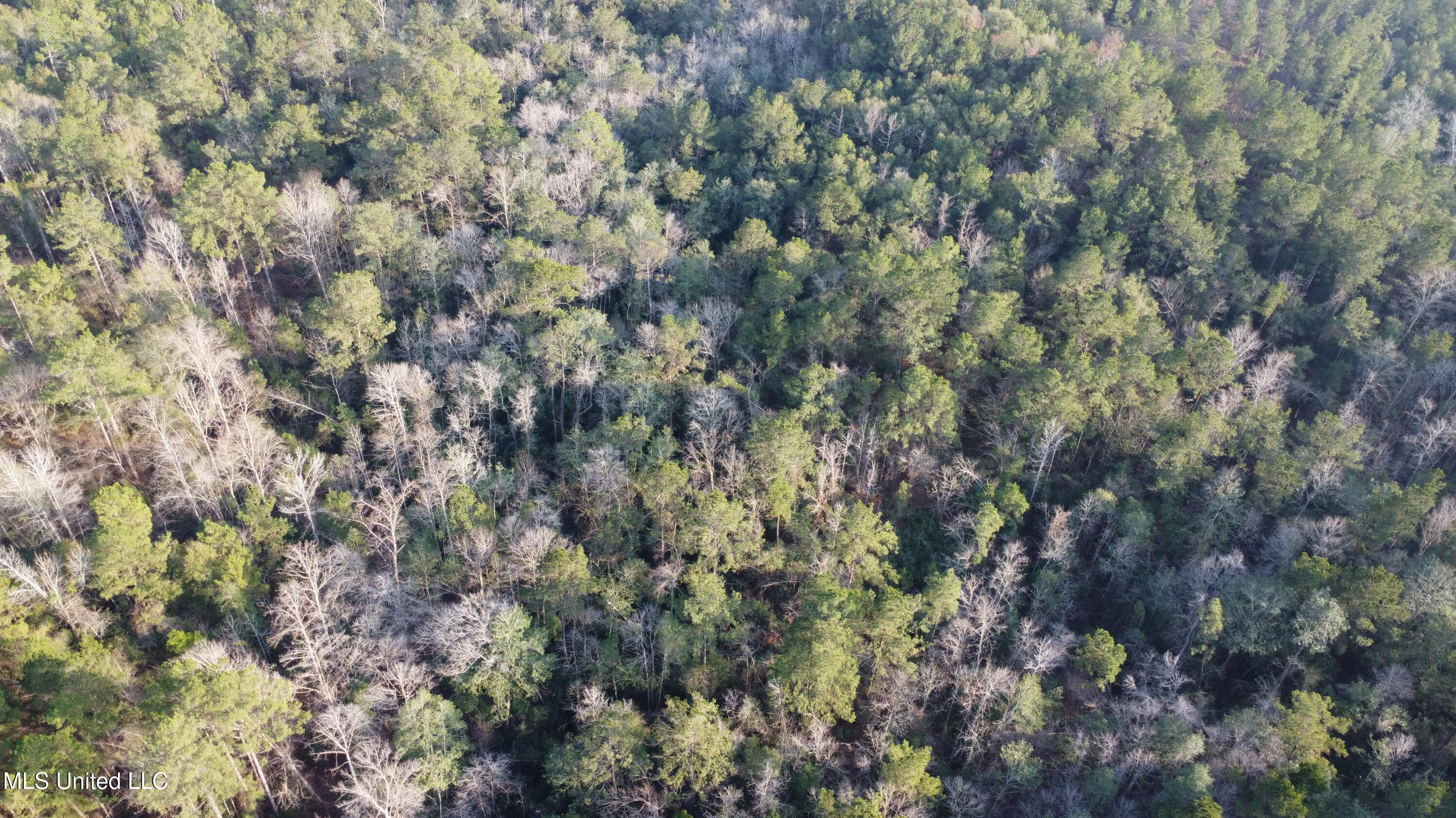 South County Line Road Columbia, MS 39429 - Photo 8 of 44 DJI_0690