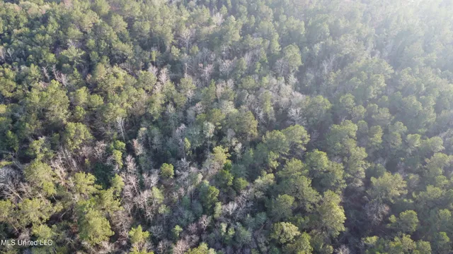 $179,000 | South County Line Road, Columbia, MS 39429