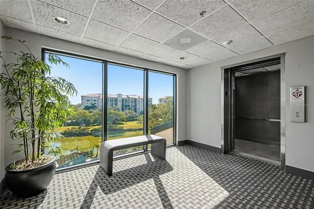a view of a swimming pool with a garden