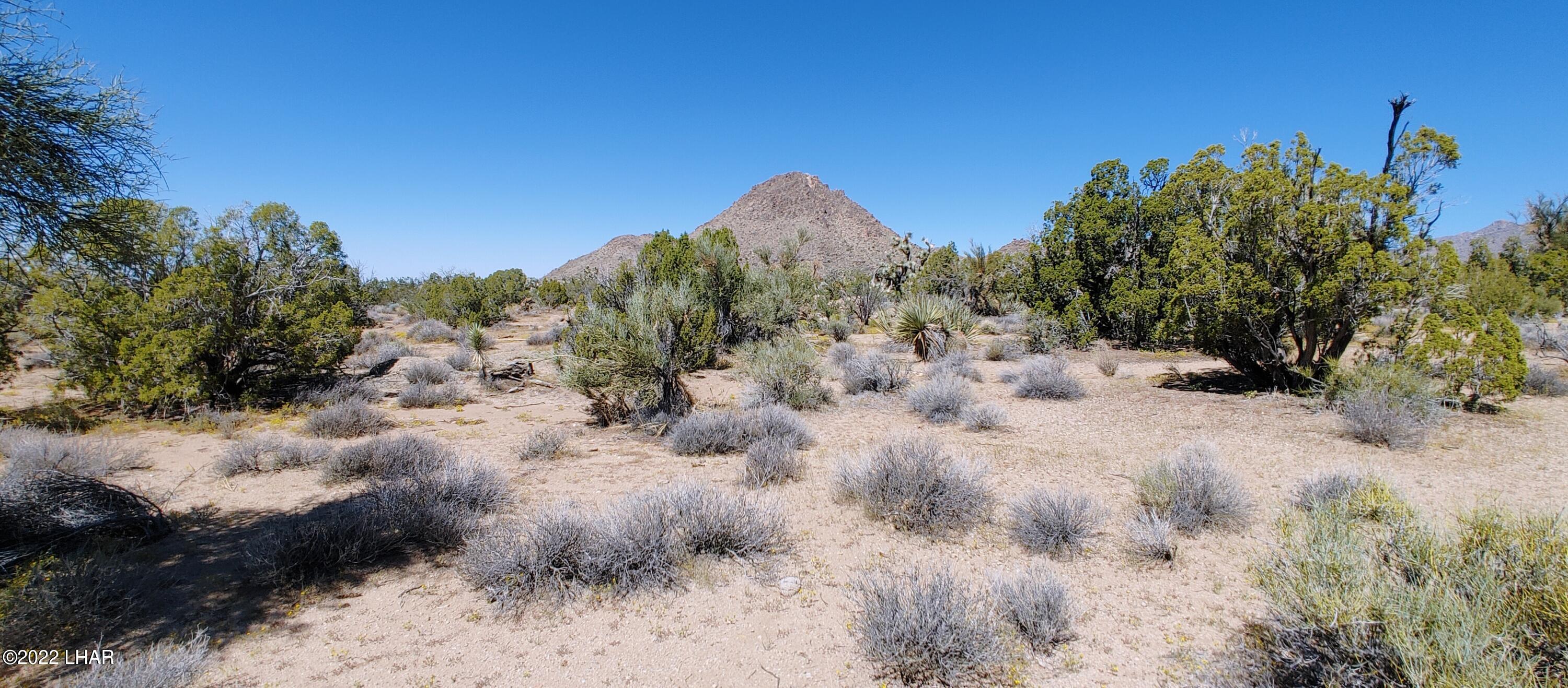 99 Gunsmoke Road Yucca, AZ 86438 - Photo 13 of 47 0919221148b