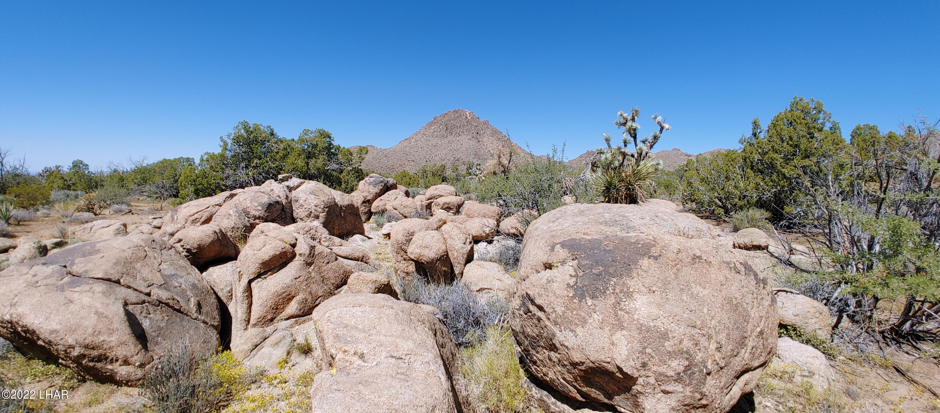 99 Gunsmoke Road Yucca, AZ 86438 - Photo 14 of 47 0919221149