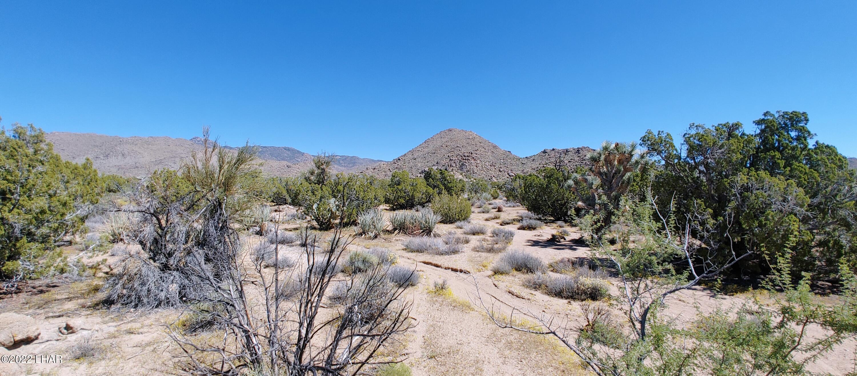99 Gunsmoke Road Yucca, AZ 86438 - Photo 17 of 47 0919221149a