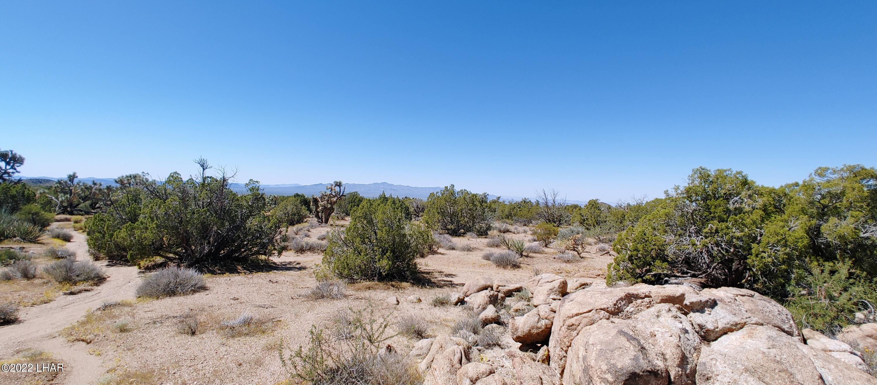 99 Gunsmoke Road Yucca, AZ 86438 - Photo 18 of 47 0919221150