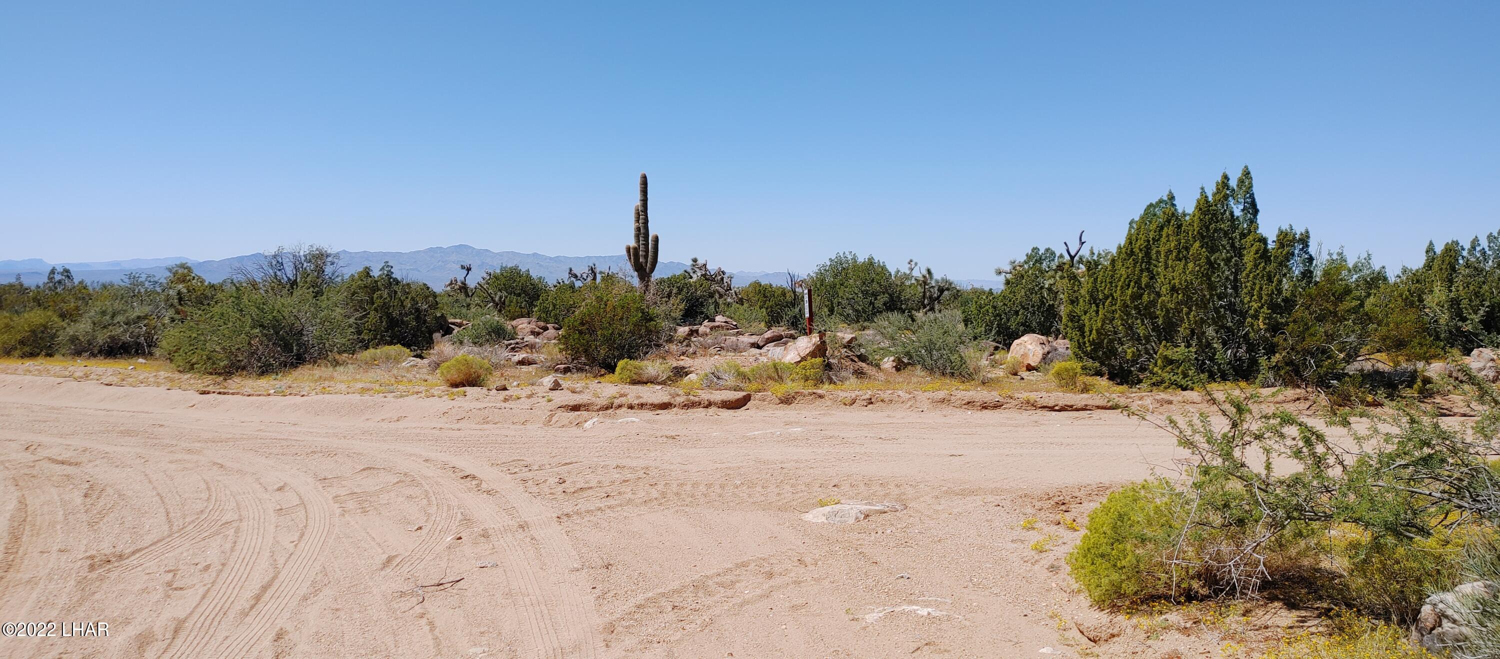 99 Gunsmoke Road Yucca, AZ 86438 - Photo 21 of 47 0919221154a
