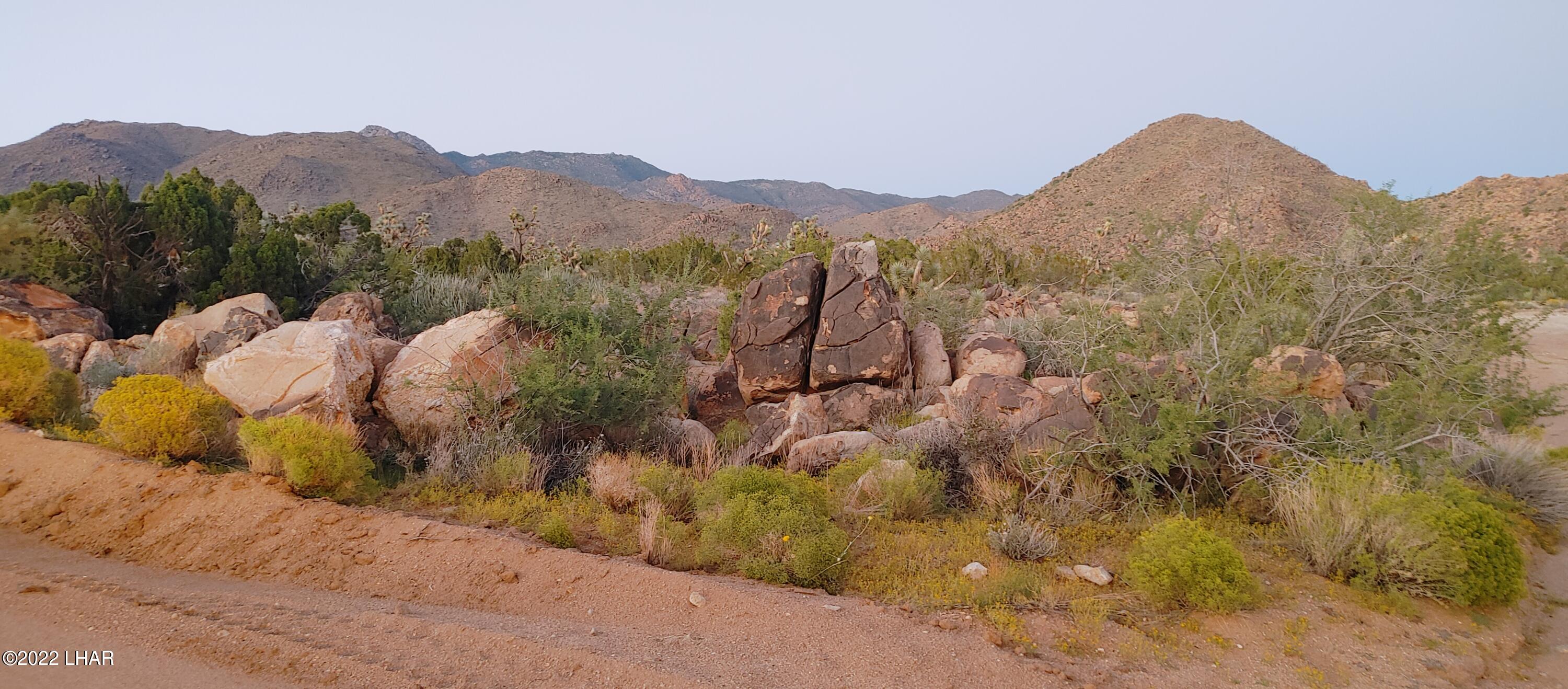 99 Gunsmoke Road Yucca, AZ 86438 - Photo 23 of 47 0916221854