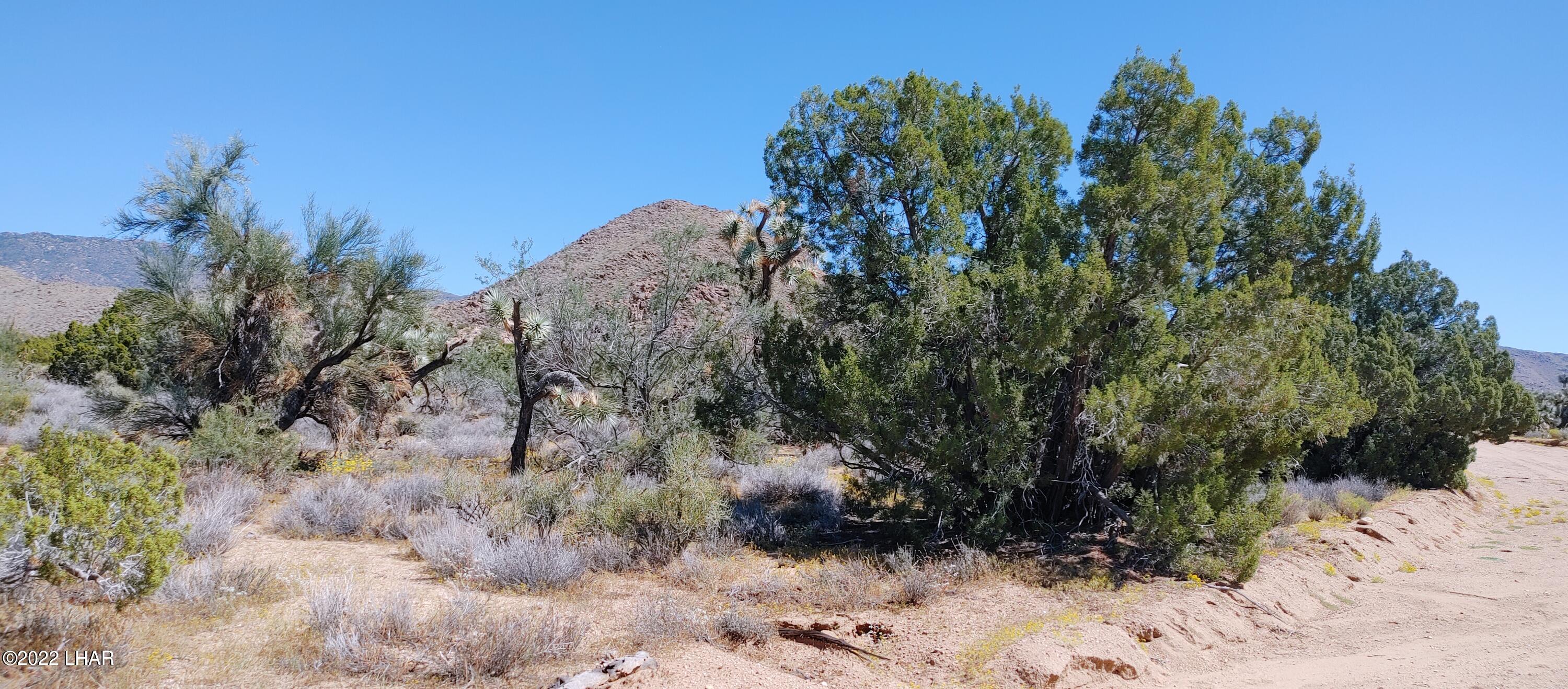99 Gunsmoke Road Yucca, AZ 86438 - Photo 3 of 47 40-Acres in Pristine eastside neighborhood
