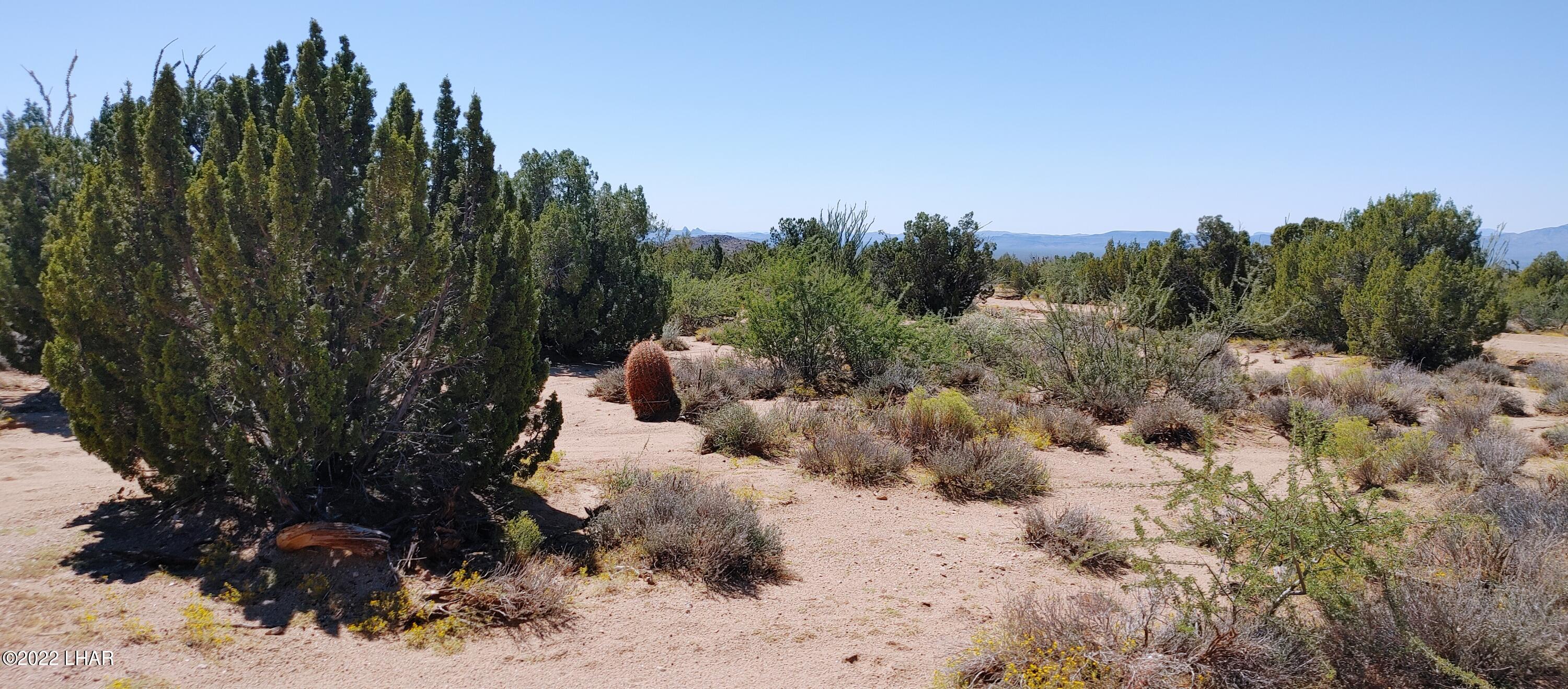 99 Gunsmoke Road Yucca, AZ 86438 - Photo 33 of 47 0919221158