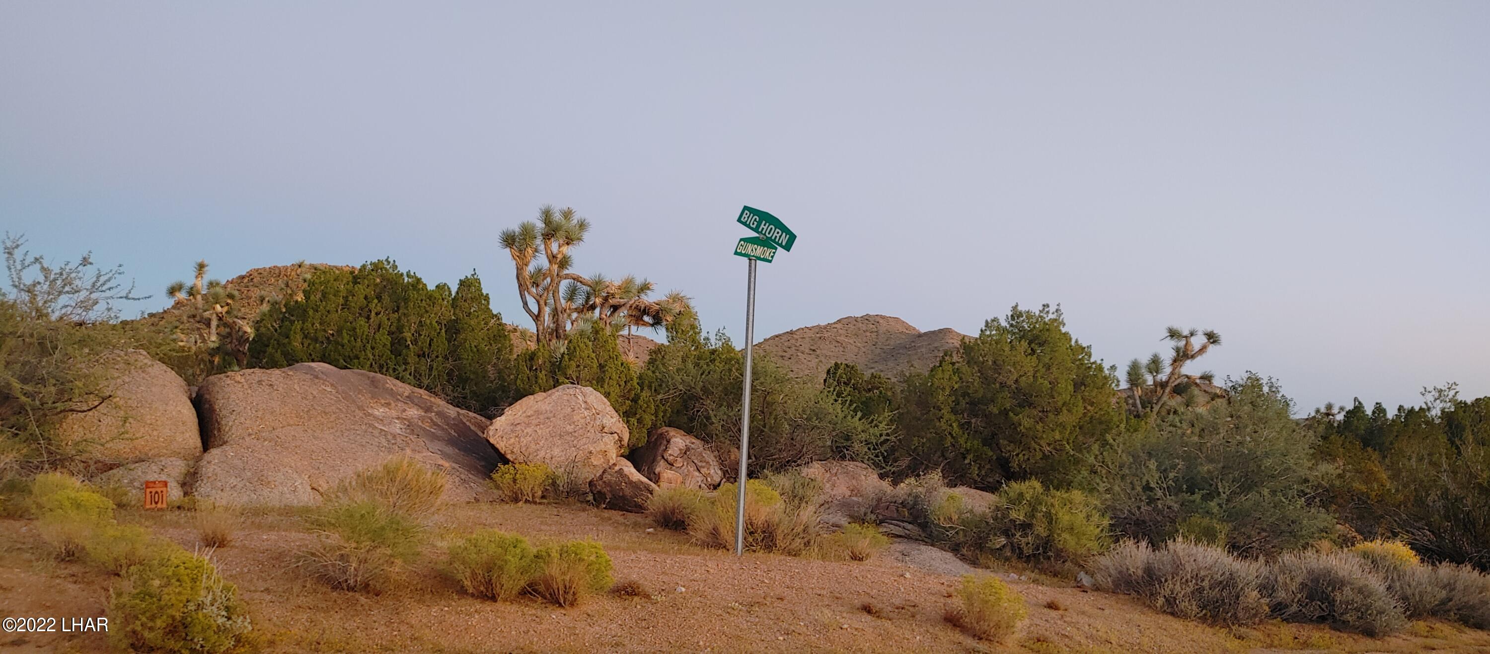 99 Gunsmoke Road Yucca, AZ 86438 - Photo 34 of 47 0916221854b