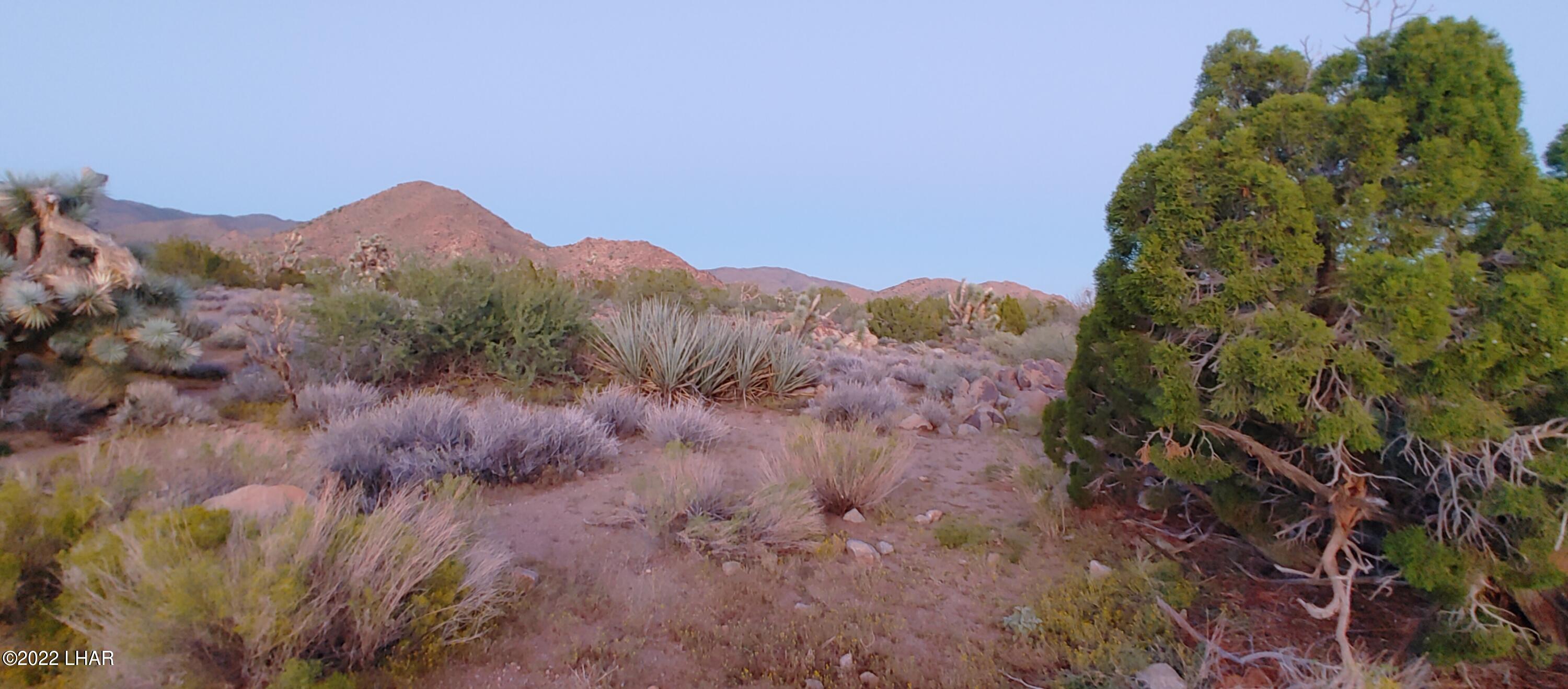 99 Gunsmoke Road Yucca, AZ 86438 - Photo 35 of 47 0916221857