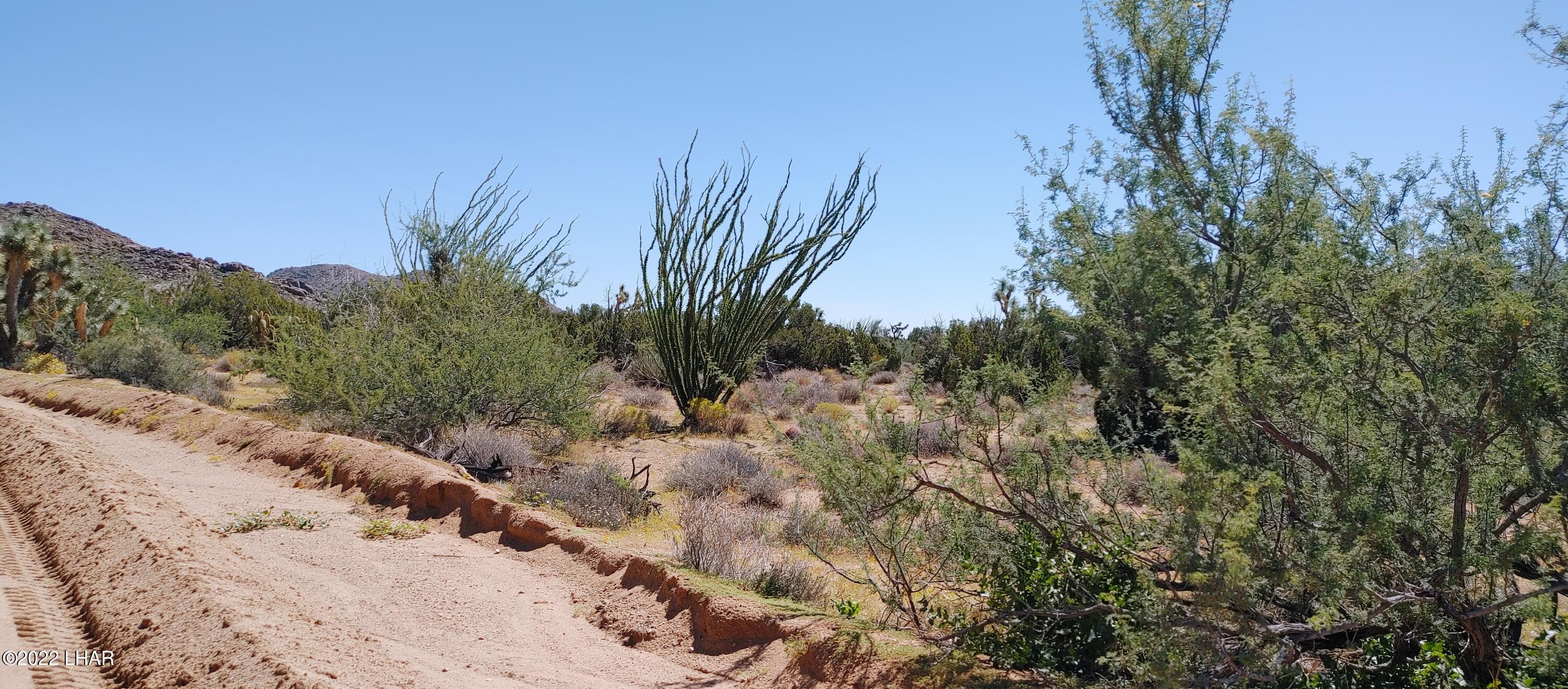 99 Gunsmoke Road Yucca, AZ 86438 - Photo 41 of 47 0919221158b