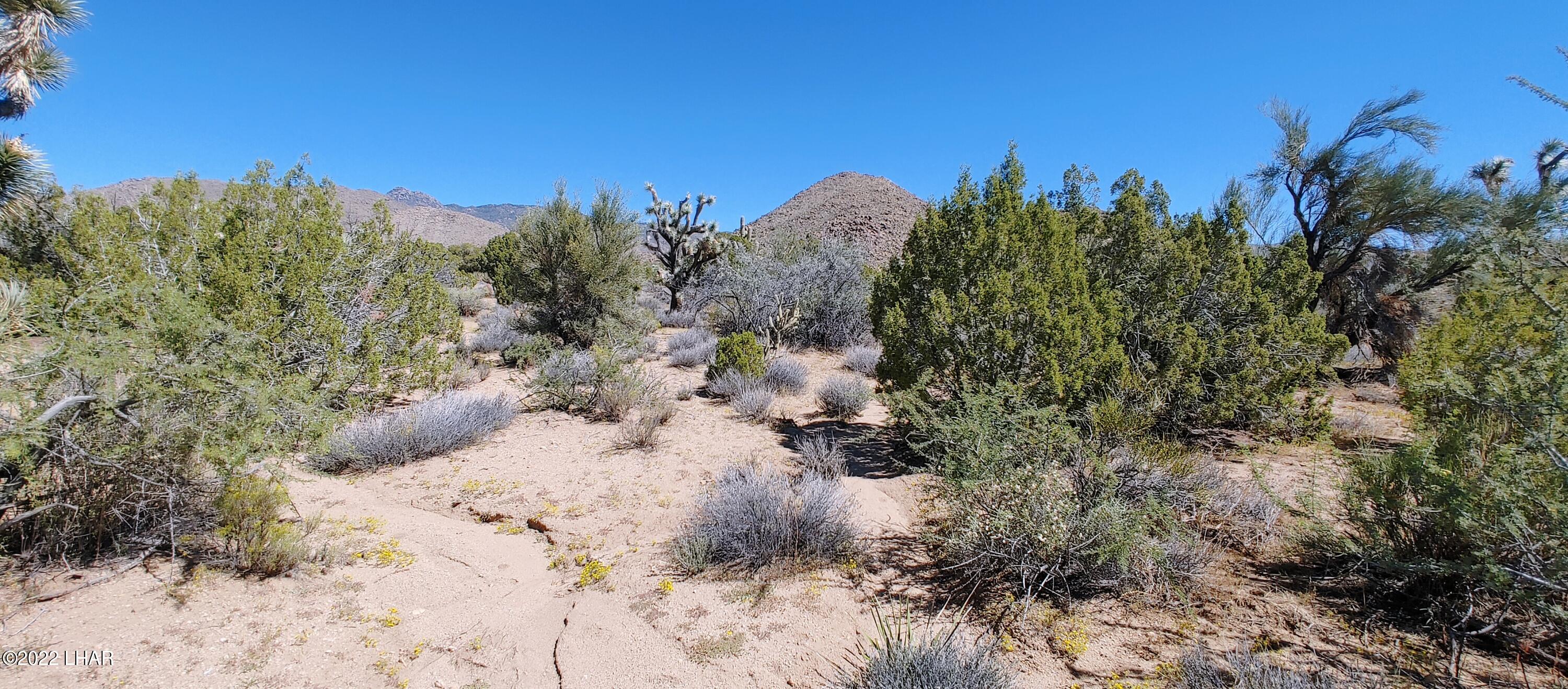 99 Gunsmoke Road Yucca, AZ 86438 - Photo 5 of 47 0919221148_HDR