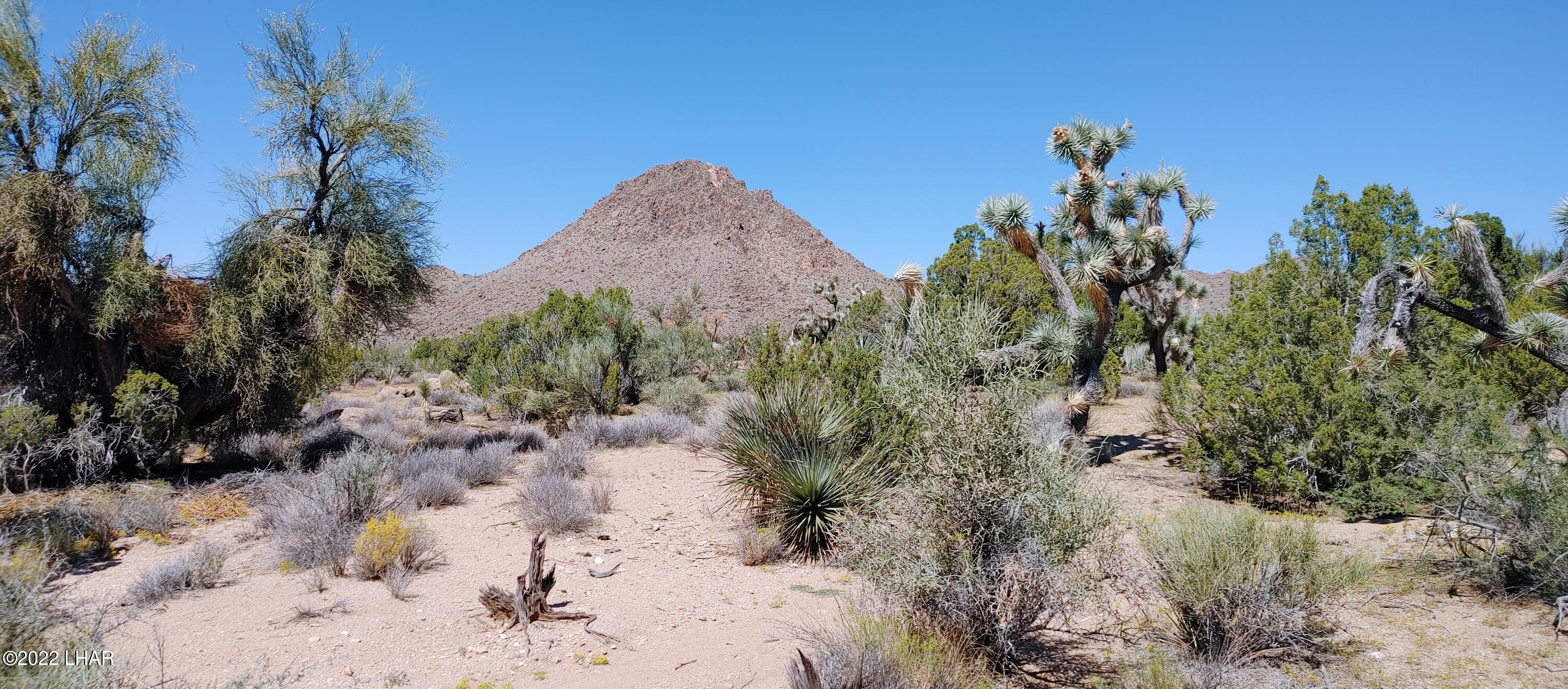 99 Gunsmoke Road Yucca, AZ 86438 - Photo 9 of 47 0919221148a