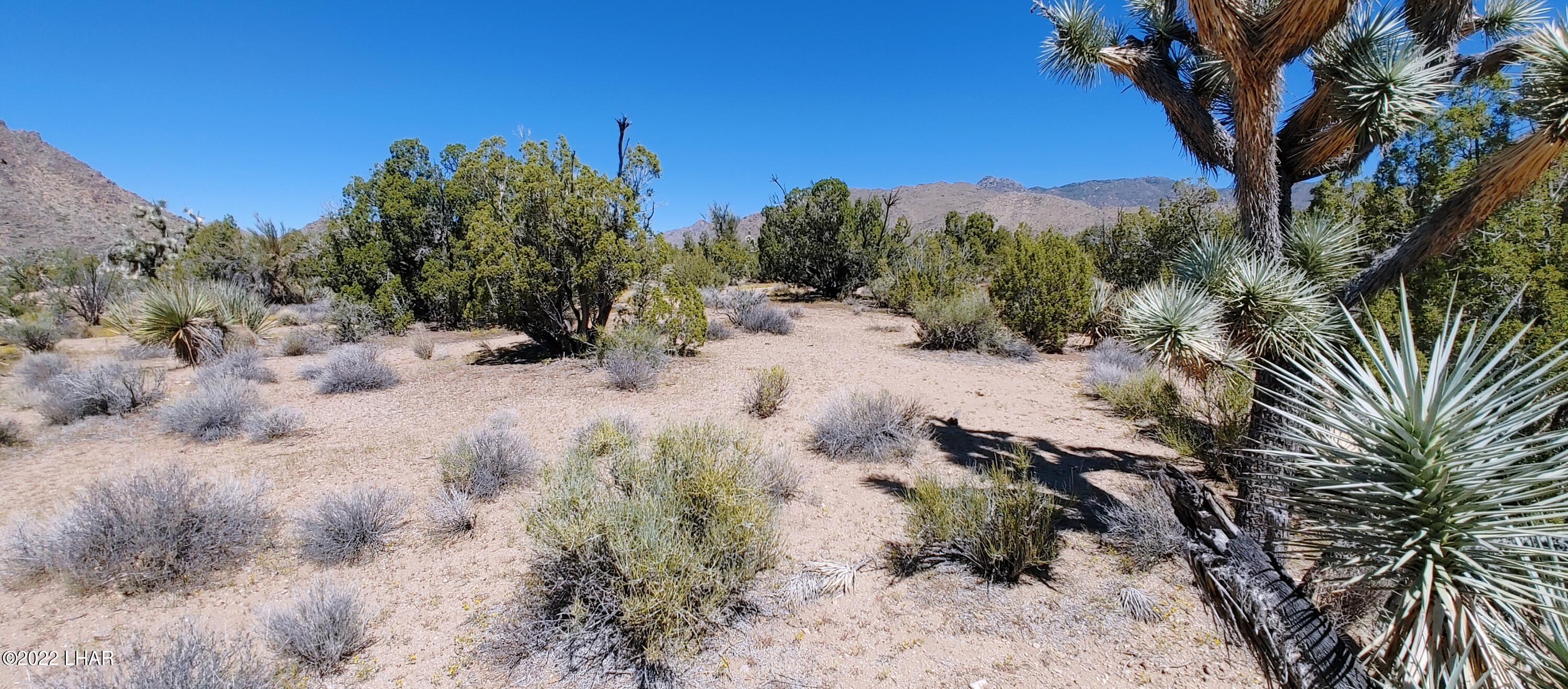 99 Gunsmoke Road Yucca, AZ 86438 - Photo 10 of 47 0919221148a_HDR