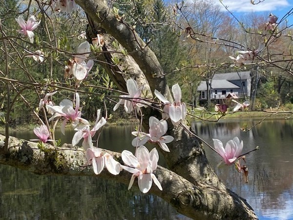 218 Baker Road Shutesbury, MA 01072 - Photo 4 of 41 Gallery Image 4