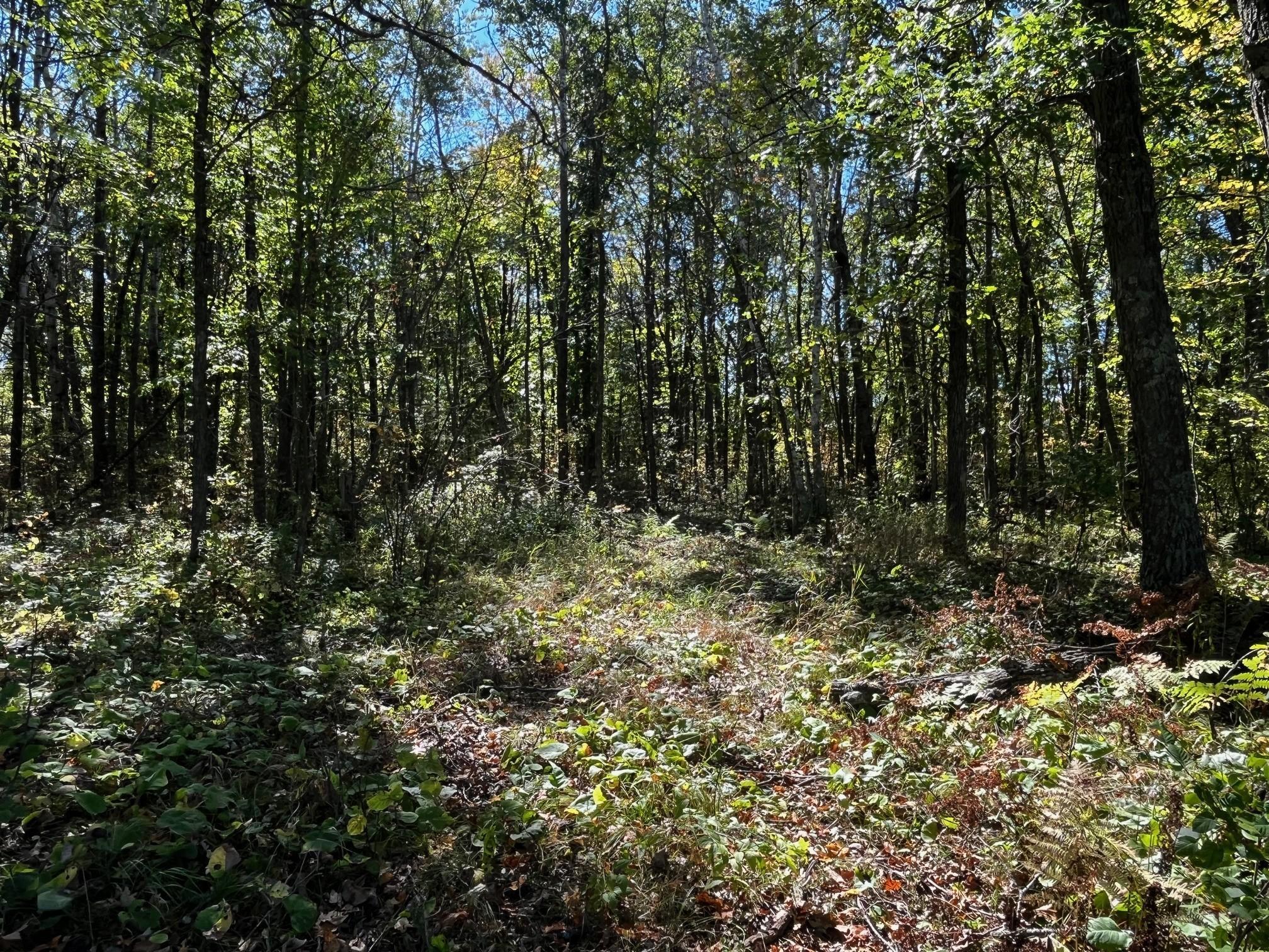 2 County Road 2 Brainerd, MN 56401 - Photo 10 of 20