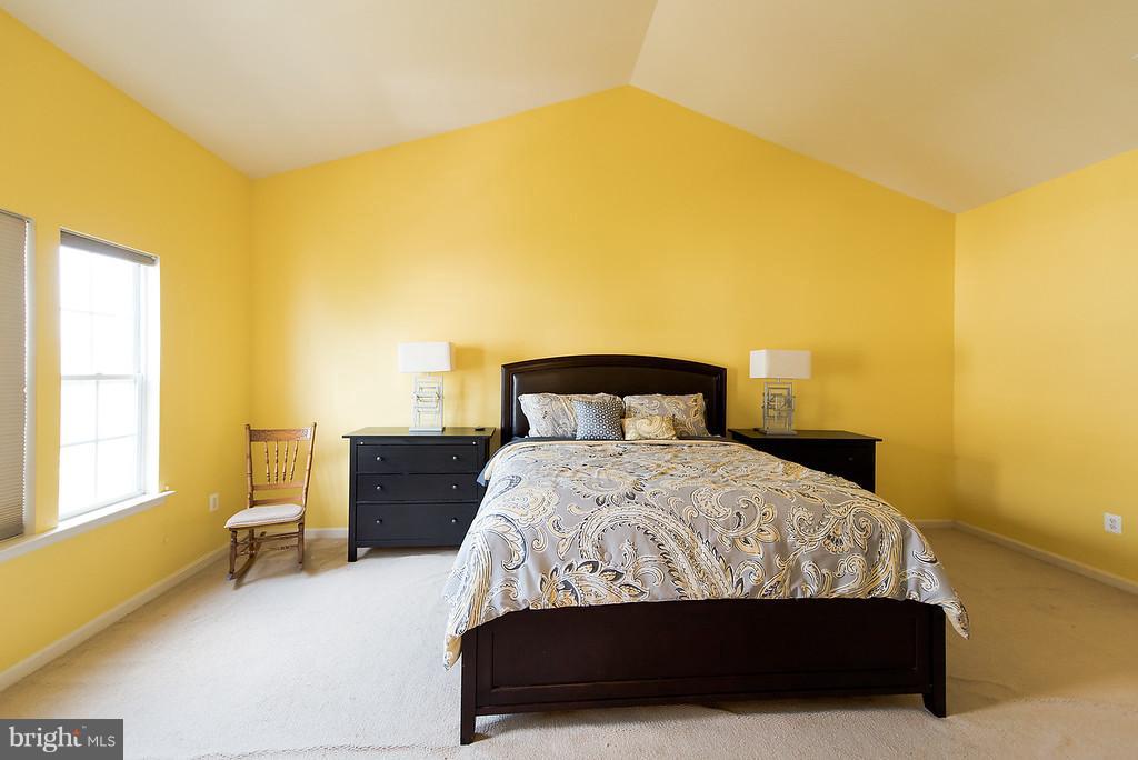 646 Springhouse Square Southeast Leesburg, VA 20175 - Photo 17 of 25 Owner's Bedroom with Vaulted~Ceiling