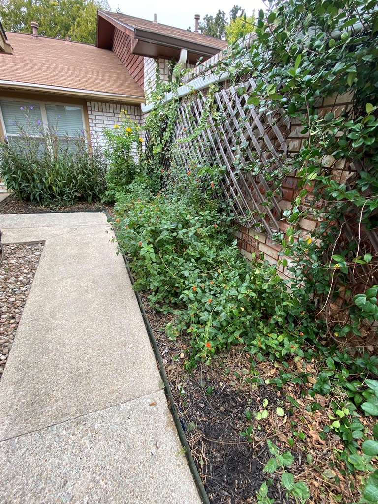 802 Lois Street Kerrville, TX 78028 - Photo 24 of 25 a view of a backyard with plants
