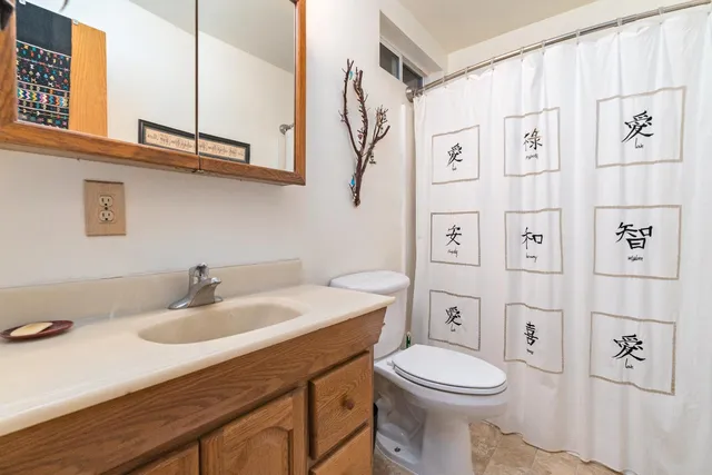 a view of a bunch of flowers