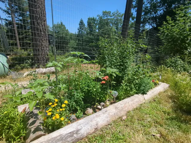 a view of lawn chairs under an umbrella in front of house