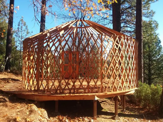 a view of a yard with swimming pool