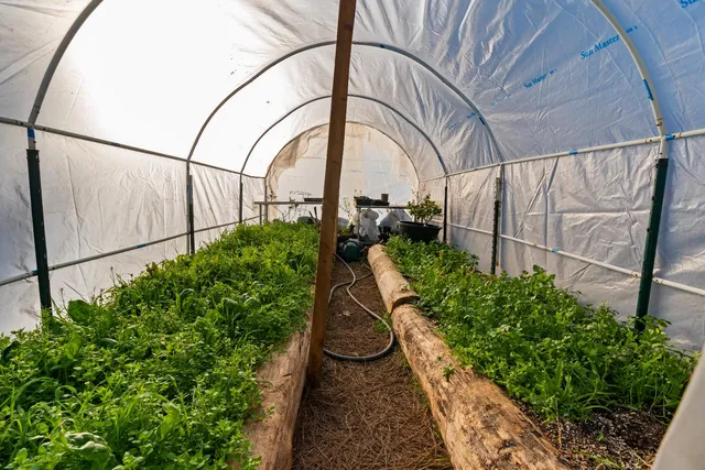 a view of swimming pool next to a yard