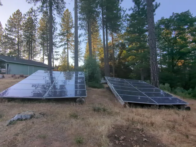 a view of a yard with trees