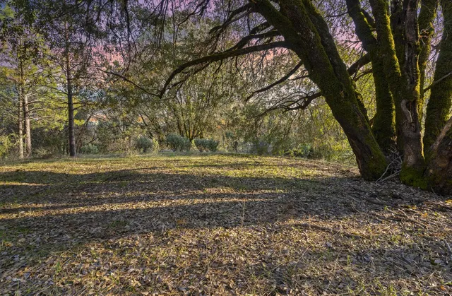 a blue and white chairs sitting in a backyard with a tub
