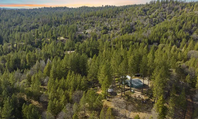 a view of a dry yard with trees