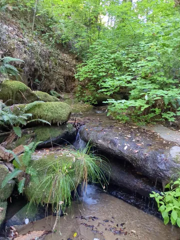 a kitchen with stainless steel appliances kitchen island granite countertop a wooden floor and white cabinets