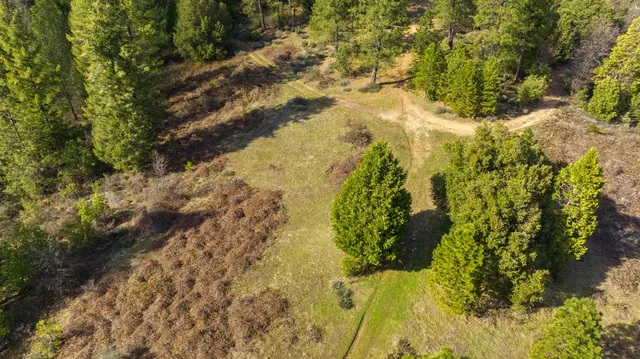 a view of a forest of a building