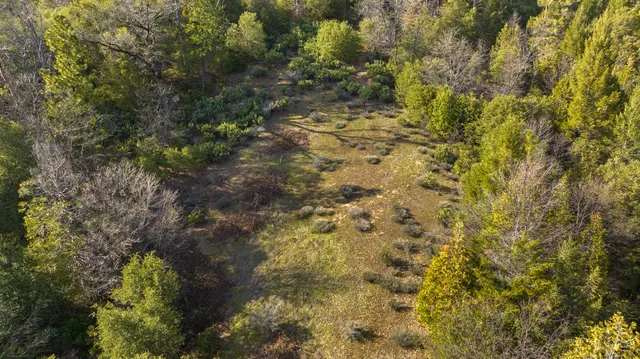 a view of street with a yard