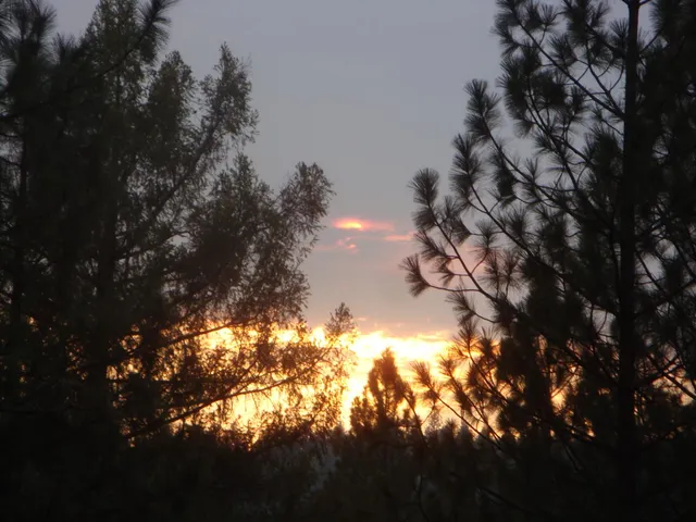 $760,000 | 15528 Highway 49, Camptonville, CA 95922