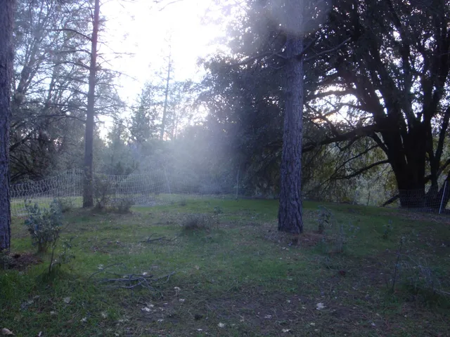 $760,000 | 15528 Highway 49, Camptonville, CA 95922