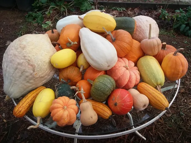 $760,000 | 15528 Highway 49, Camptonville, CA 95922