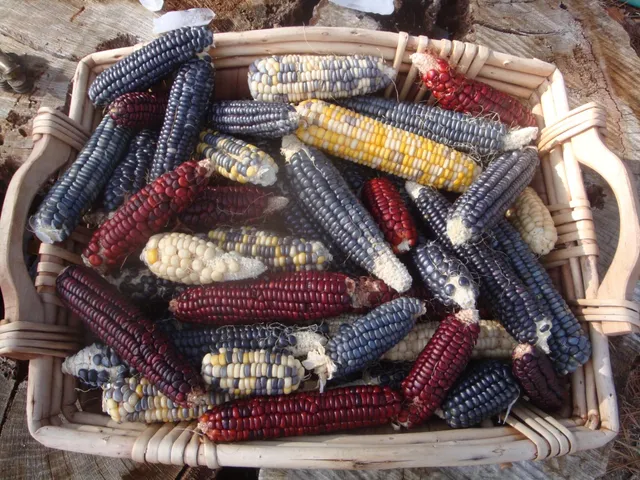 $760,000 | 15528 Highway 49, Camptonville, CA 95922