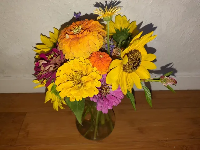 $760,000 | 15528 Highway 49, Camptonville, CA 95922