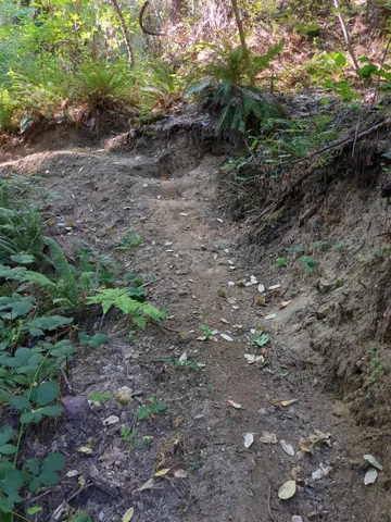 $760,000 | 15528 Highway 49, Camptonville, CA 95922