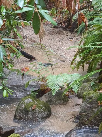 $760,000 | 15528 Highway 49, Camptonville, CA 95922