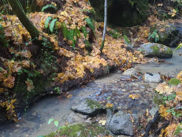 $760,000 | 15528 Highway 49, Camptonville, CA 95922